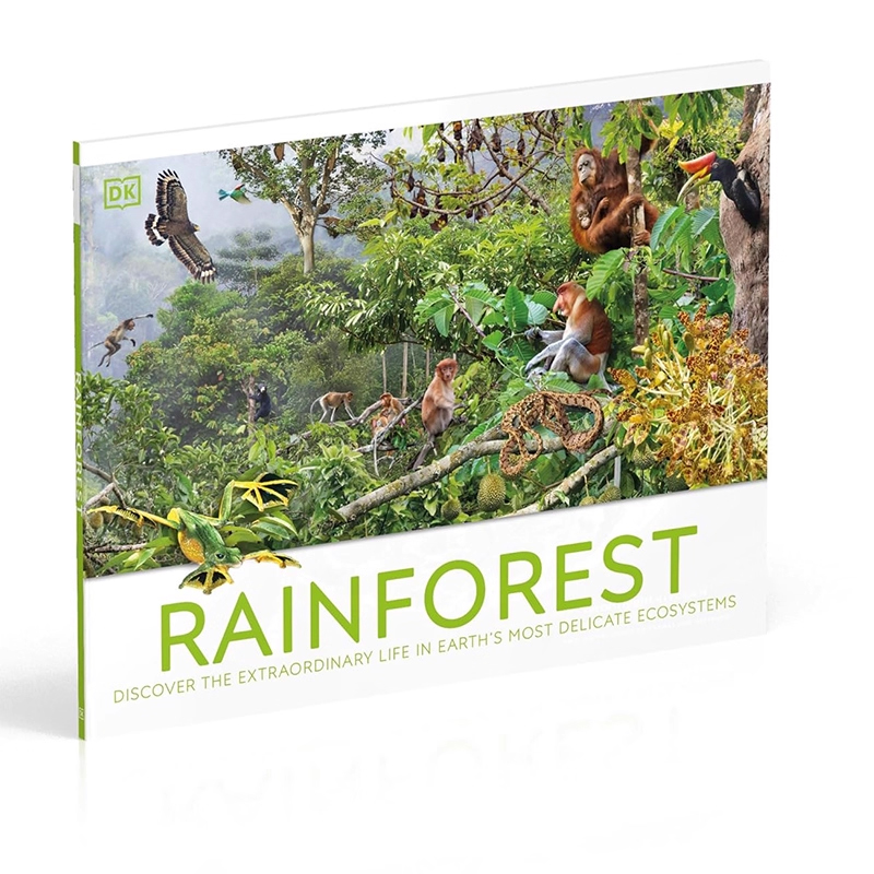 英文原版 DK自然探索 Rainforest 雨林:探索地球上最精致的生态系统与非凡生命 精装 儿童自然科普全彩图解