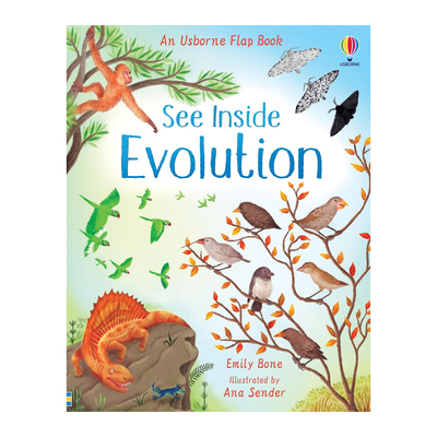 英文原版 Usborne See Inside Evolution 看里面系列 进化论 纸板翻翻书 尤斯伯恩 儿童科普认知绘本