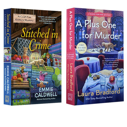 英文原版 A Craft Fair Knitters Mystery  2册合售 女侦探冒险故事章节书 青少年英文课外阅读小说