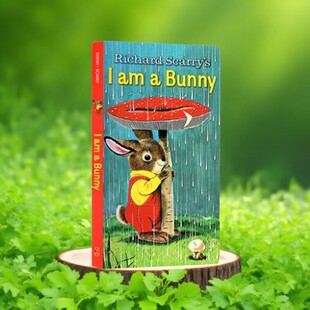 Bunny 小兔子 变化 儿童绘本 早教启蒙纸板书 richard 我是一只兔子 感受四季 scarry 金色斯凯瑞童书 英文原版