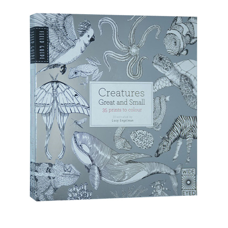 英文原版 The Field Guide Creatures Great and Small 动物指南科普涂色艺术图画书