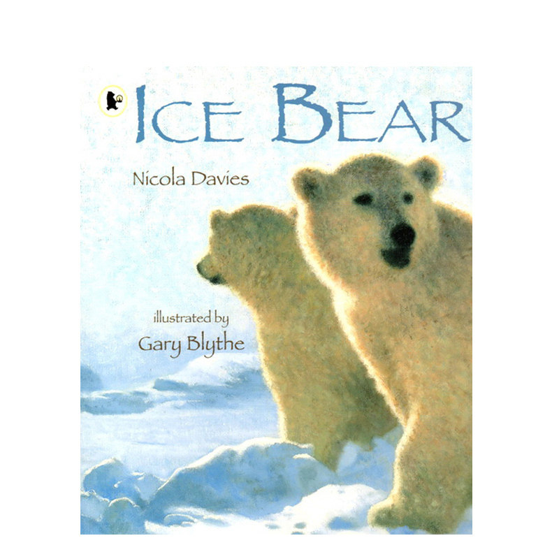 英文原版绘本 ice bear 小学stem百科科普图画书 walker nature story
