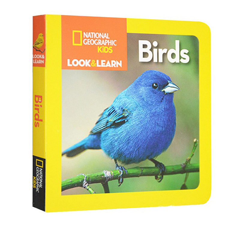 儿童百科书儿童启蒙学习