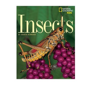 英文原版 美国国家地理 Insects 昆虫 季节绘本 儿童启蒙科普读物图画书