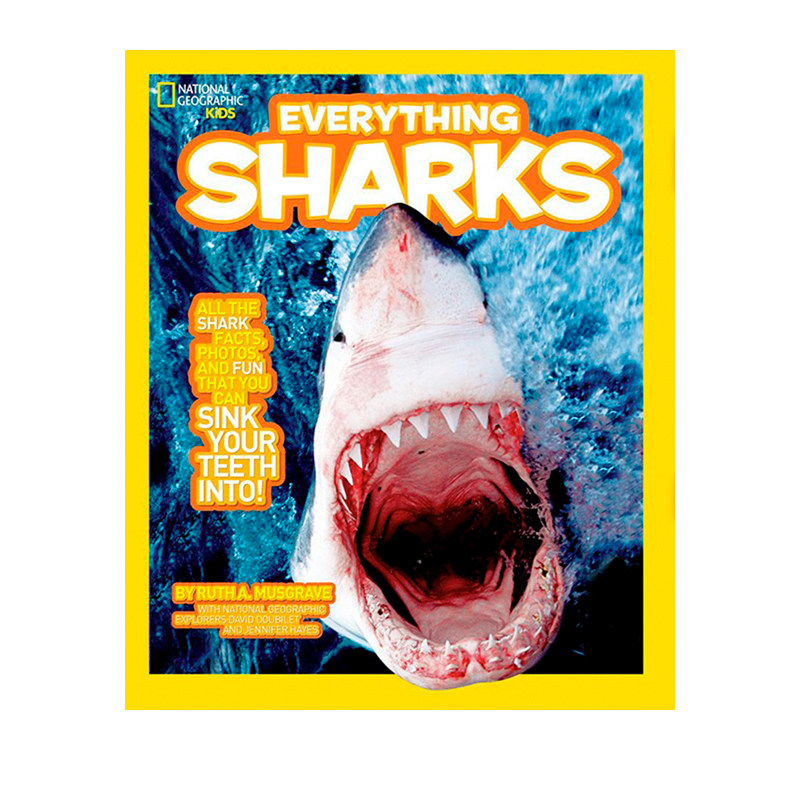 英文原版  国家地理无所不知的奇趣百科：鲨鱼 National Geographic Kids Everything Sharks  STEM科普人文历史