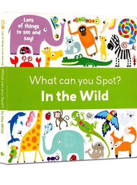 英文原版 孤品清仓 What Can You Spot? In the Wild & Things That Go 你能发现什么 找找看 纸板书 儿童绘本