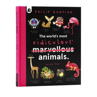 英文原版 The World's Most Ridiculous Animals 世界上可笑的动物  精装大开本 奇特生物 儿童动物百科 科普绘本图画书