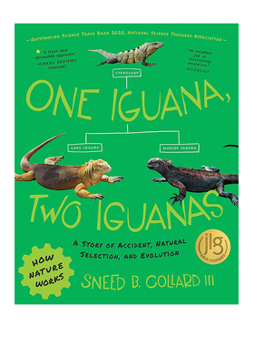 英文原版 A Story of Accident, Natural Selection, and Evolution 一只鬣蜥，两只鬣蜥 进化论题材 Tilbury House获奖绘本