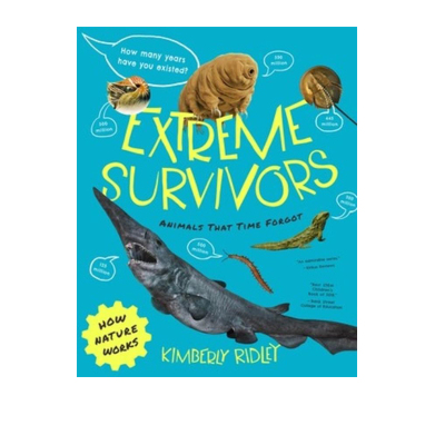 自然是如何TilburyHouse