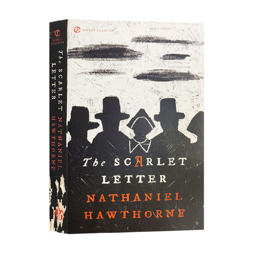TheScarletLetter文学