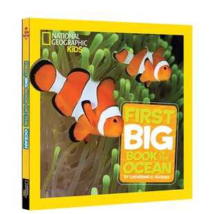 英文原版 Little 儿童百科书 美国国家地理 National Big Ocean 动物系列 the Kids Book 大开本 精装 First Geographic