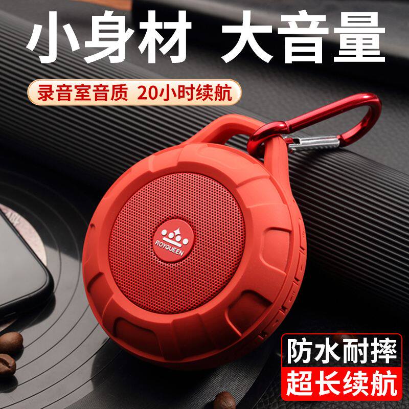 朗琴T350蓝牙小音响跑步户外便携大音量超长续航小型迷你无线音箱