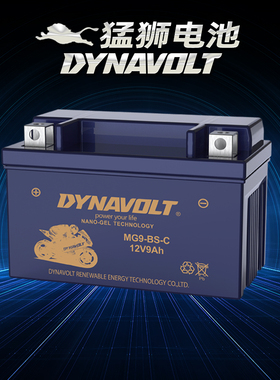 摩托车电瓶YTX7A-BS免维护豪迈豪.爵悦星125踏板配件蓄电池12V7AH