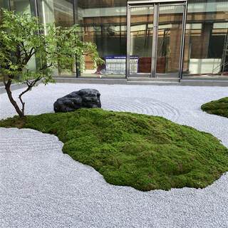 仿真青苔假苔藓造室内微景观人造草坪绿植墙植物墙面绿化装饰包邮