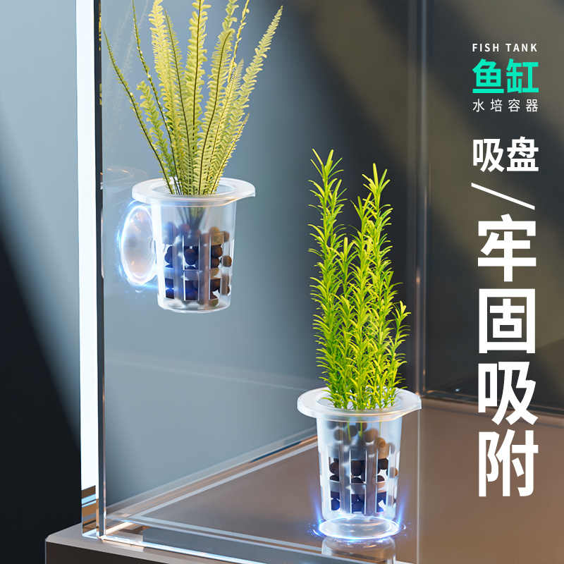 水培植物固定器鱼缸吸盘定植环