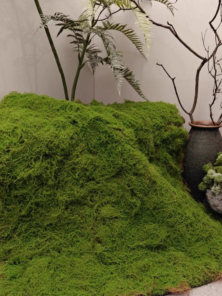 彷真植物墙青苔草皮人工草坪绿色地毯垫子室内墙面橱窗装饰假苔藓