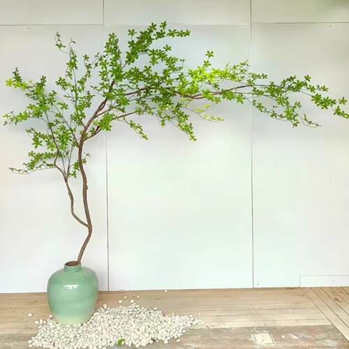 仿真吊钟树马醉木别墅室内茶室橱窗装饰假树绿植落地景观造景盆景 - 封面