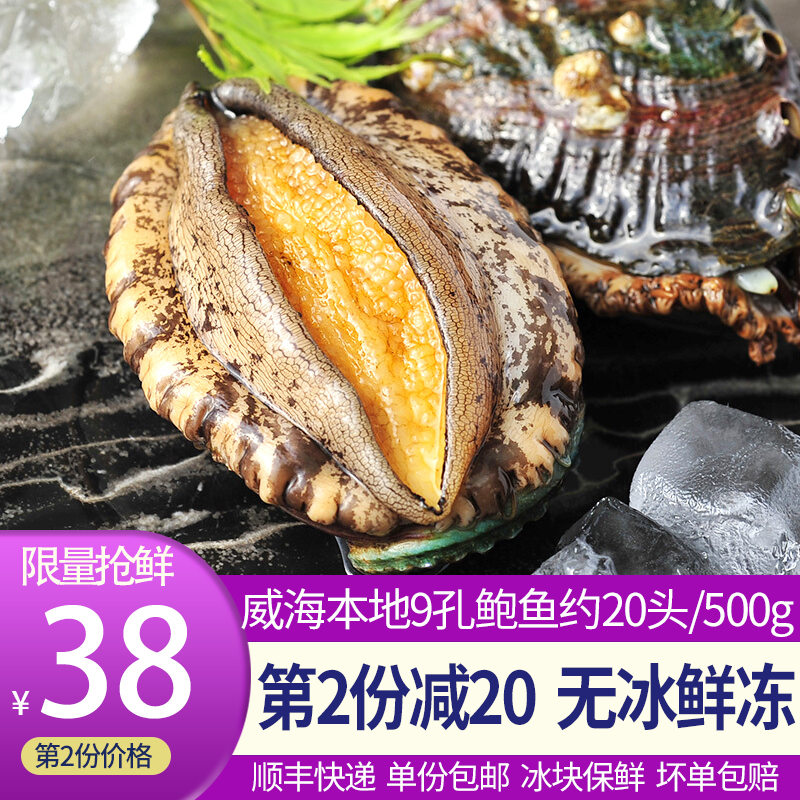 鲍鱼鲜活冻煮新鲜20-25只大个包鱼海鲜即食小鲍鱼仔大特冰鲜水产