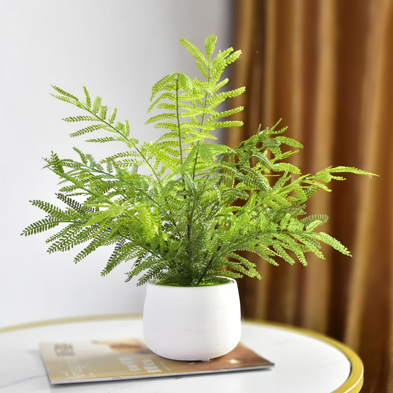 北欧客厅仿真植物蕨类小盆栽创意
