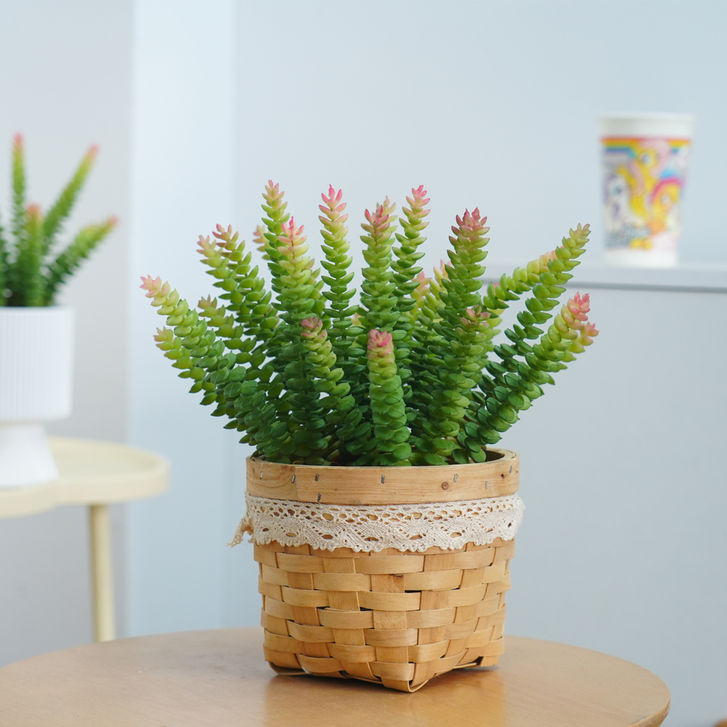 创意仿真清新多肉植物盆栽带盆小绿植花卉客厅室内桌面装饰品摆件