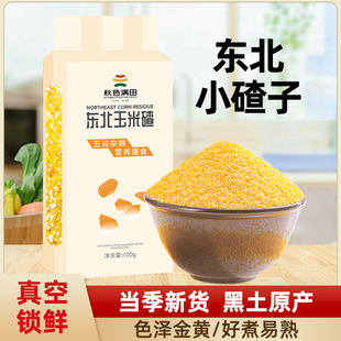 正宗东北玉米小渣细玉米糁农家五谷杂粮粘糯苞米糁碴煮粥粗粮早餐