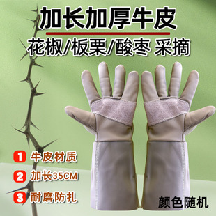 牛皮防刺手套防扎园林园艺专用剥榴莲摘板栗修剪月季花椒电焊手套