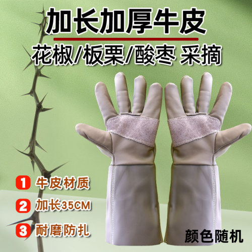防扎防刺耐磨厚款手套牛皮捡板栗