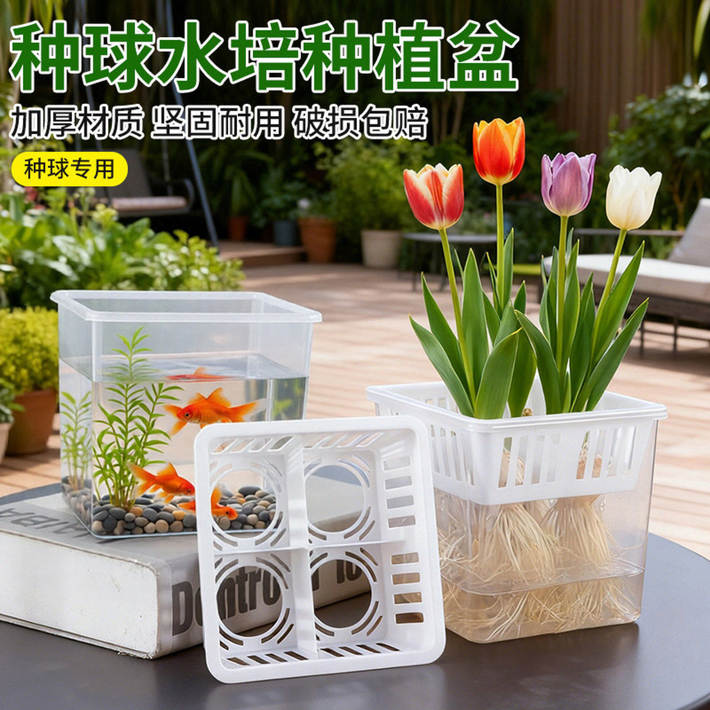 专用水培花瓶水培郁金香百合风信子透明植物种球花卉用亚克力器皿
