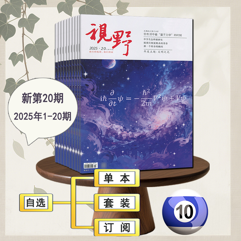视野杂志2025年第20/19/18/17/16/15-1期【含半年/全年订阅】2024过刊青年读者励志意林文学文摘非合订本初高中生课堂内外作文素材