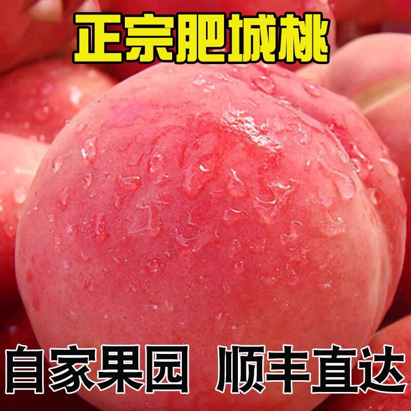 山东农家自种肥城桃脆甜大桃当季新鲜水果现摘现发佛桃水蜜桃礼盒