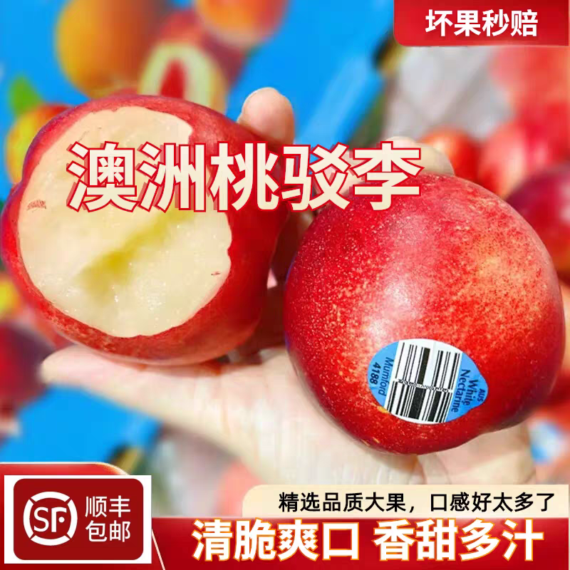 澳洲桃驳李子当季新鲜水果5斤孕妇脆桃澳大利亚油桃白肉顺丰包邮