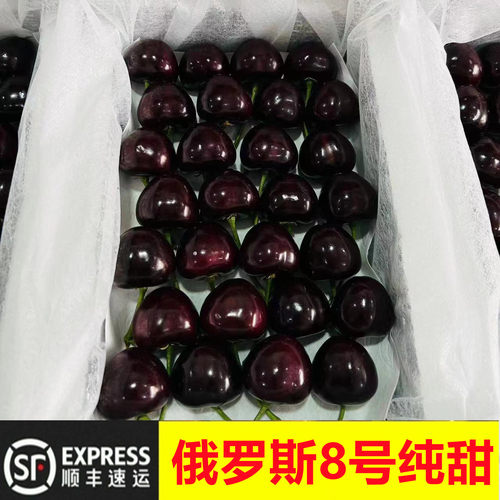 大连俄八号大樱桃现摘纯甜