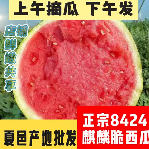 麒麟西瓜新鲜水果现摘超甜薄皮
