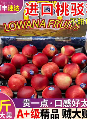 顺丰包邮 5斤澳洲进口桃驳李油桃当季新鲜水果桃子脆桃孕妇冬桃甜