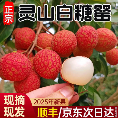 灵山荔枝新鲜白糖罂广西水果当季整箱妃子糯米1糍桂0味甜顺丰包邮
