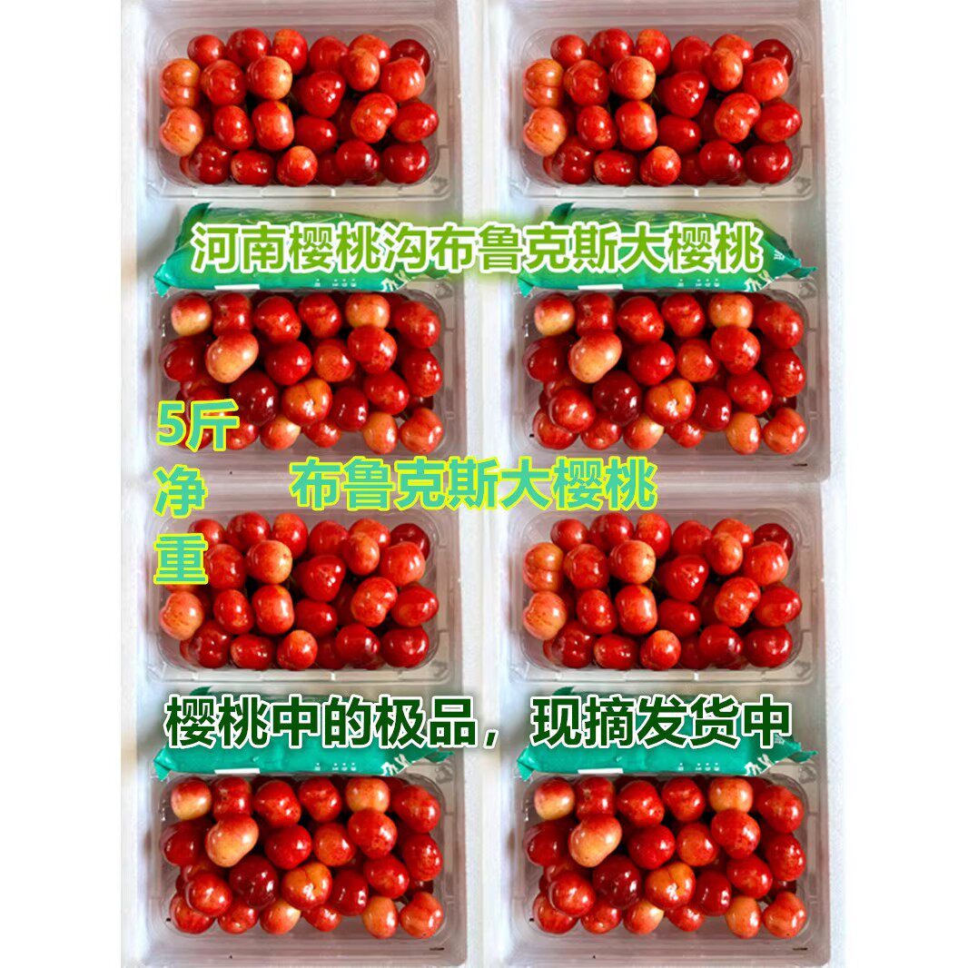 布鲁克斯樱桃孕妇宝宝水果河南大樱桃现摘现发纯甜冰糖脆农家自种