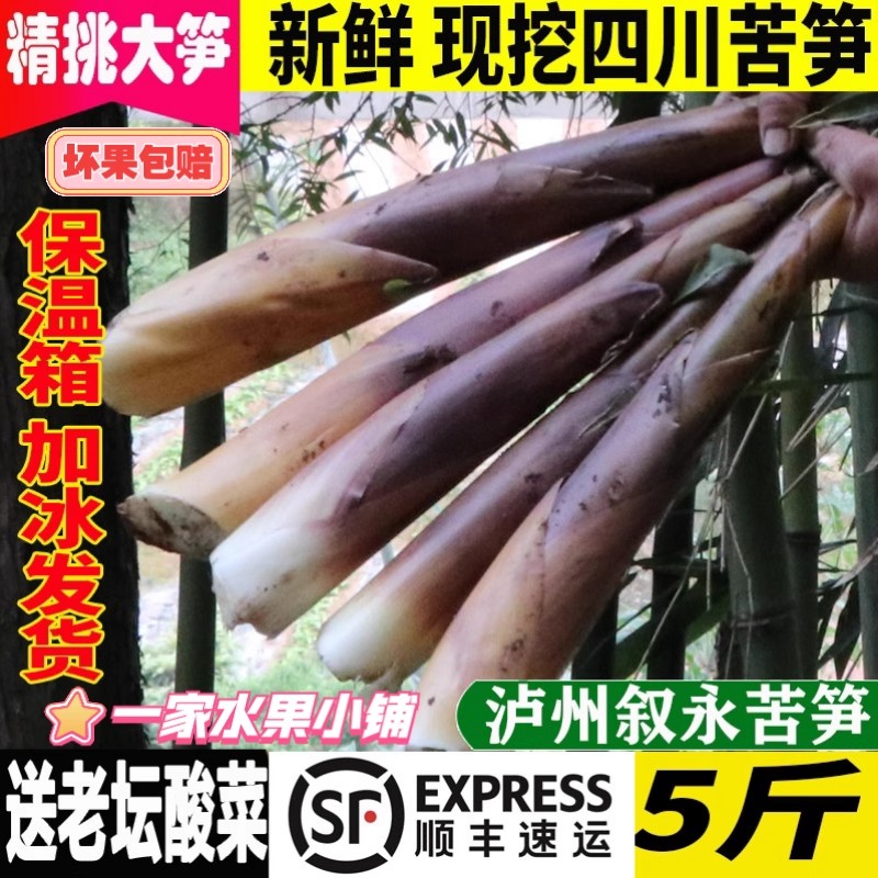 四川叙永苦竹笋5斤新鲜现挖现发图片