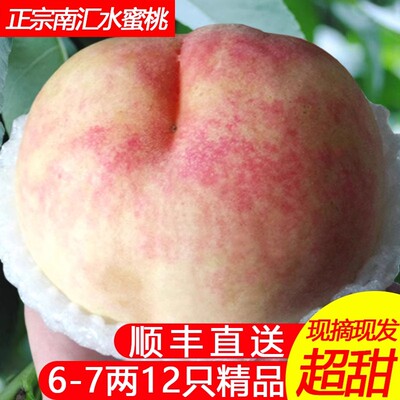 上海南汇的水蜜桃大团蜜露桃子