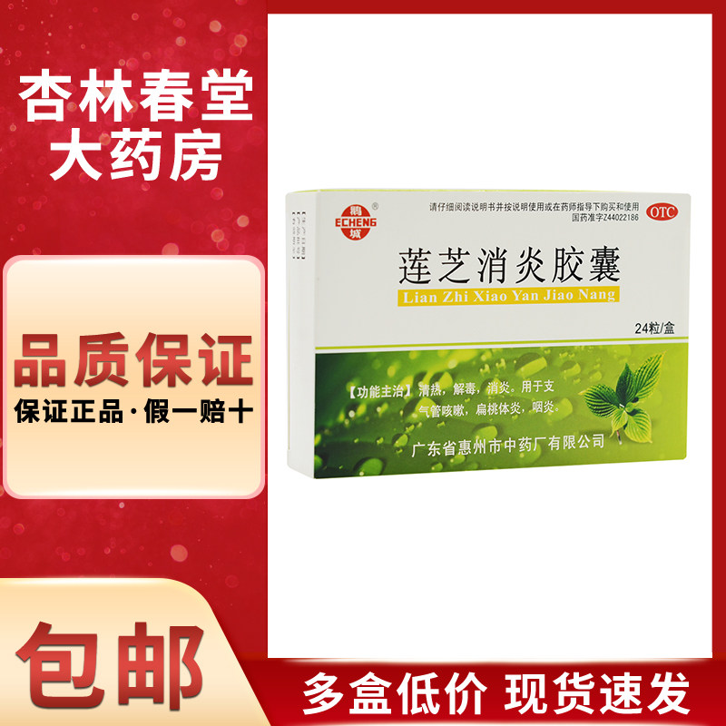 鹅城 莲芝消炎胶囊24粒/盒 清热解毒消炎支气管咳嗽扁桃体炎咽炎