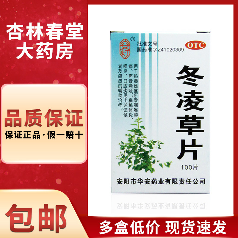 安灯 冬凌草片100片/盒 清热解毒扁桃体炎咽喉炎