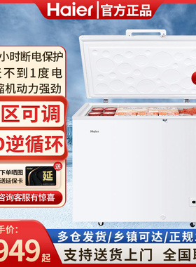 Haier/海尔 BC/BD-379GHP 429/519升卧式商用家用冰柜冷冻柜节能