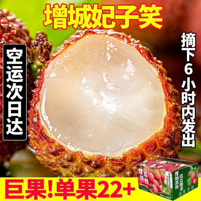 【空运次日达】增城荔枝白糖罂广东5斤桂糯米现摘现发笑糍应季3味