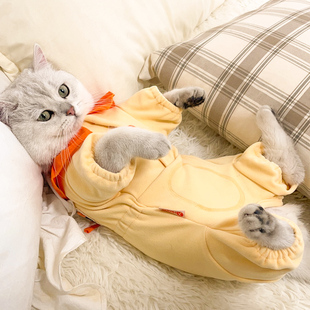 猫咪衣服冬季 保暖宠物猫猫小猫幼猫银渐层秋天四脚防掉毛睡衣秋装