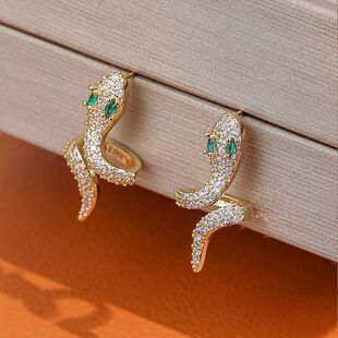 明星同款蛇形锆石耳钉气质小众高级感时尚耳饰个性INS冷淡风耳环