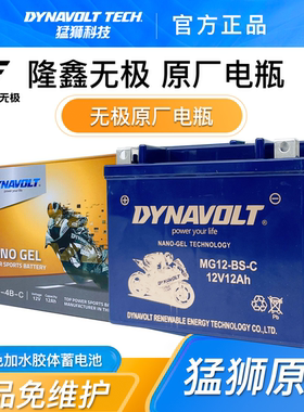 隆鑫无极LX250GS-3 LX350T-5 350AC 250RR 300GY摩托车电瓶12V