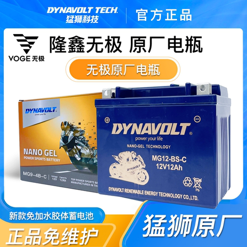 隆鑫无极LX250GS-3 LX350T-5 350AC 250RR 300GY摩托车电瓶12V