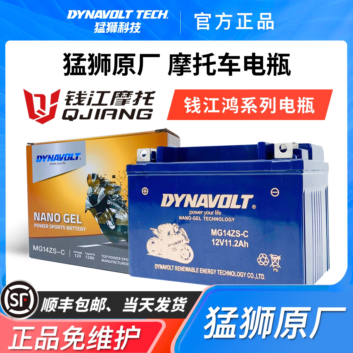 钱江QJ鸿125 鸿150ADV 鸿250 鸿350 踏板 猛狮原厂12V通用摩托车