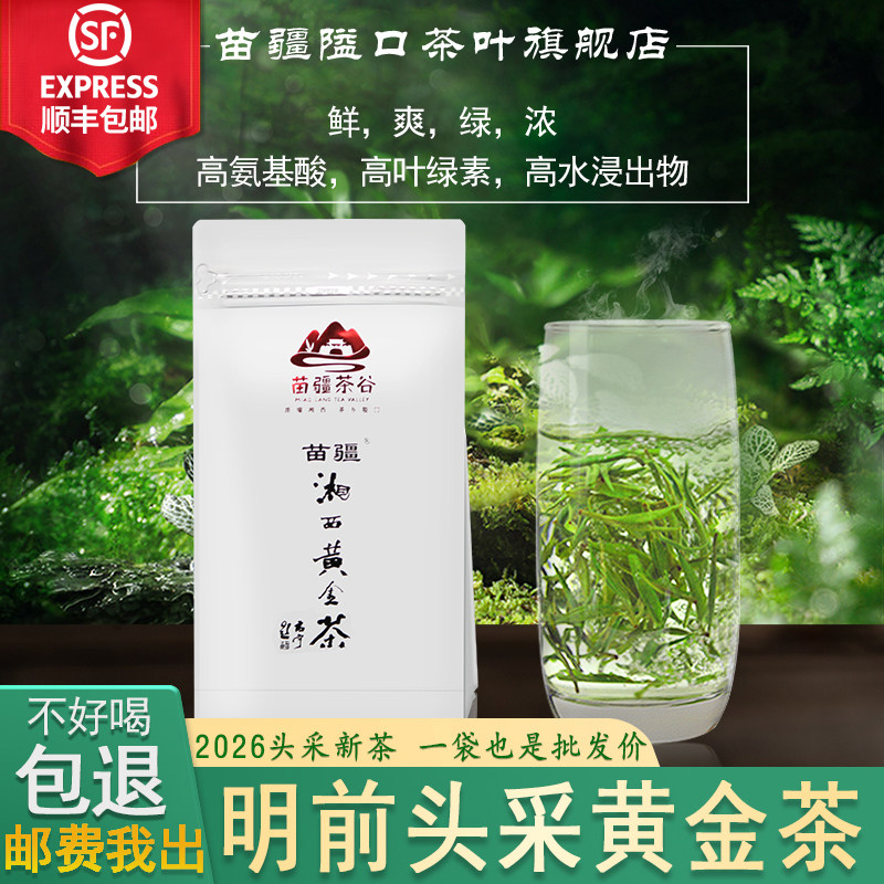 明前黄金一号新茶苗疆隘口2026