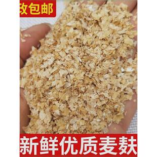 麦麸发 批100斤厂家直销小麦麸子喂牛羊鸡鸭鹅黄粉虫麸皮饲料钓鱼