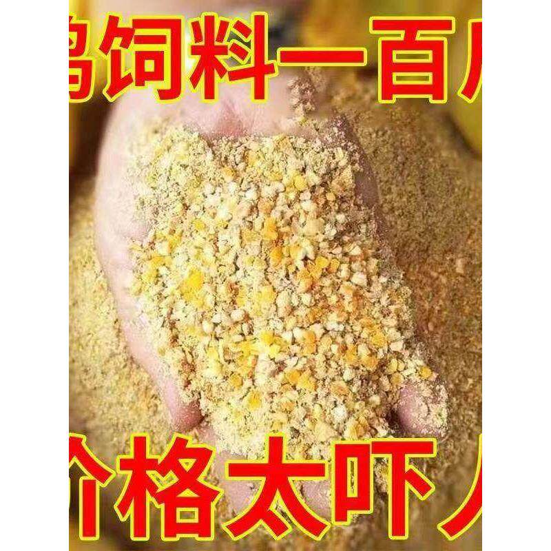 鸡鸭鹅饲料100斤喂玉米碎